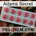 Adams Secret 18